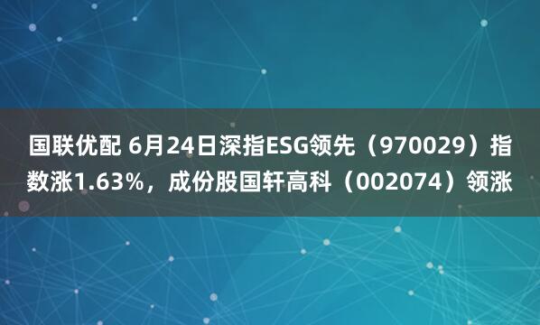 国联优配 6月24日深指ESG领先（970029）指数涨1.63%，成份股国轩高科（002074）领涨