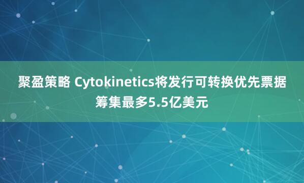 聚盈策略 Cytokinetics将发行可转换优先票据筹集最多5.5亿美元