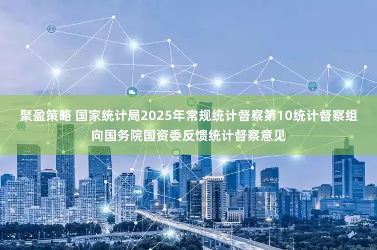 聚盈策略 国家统计局2025年常规统计督察第10统计督察组向国务院国资委反馈统计督察意见